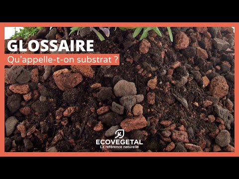 Vidéo: Pourquoi utilise-t-on un glossaire ?