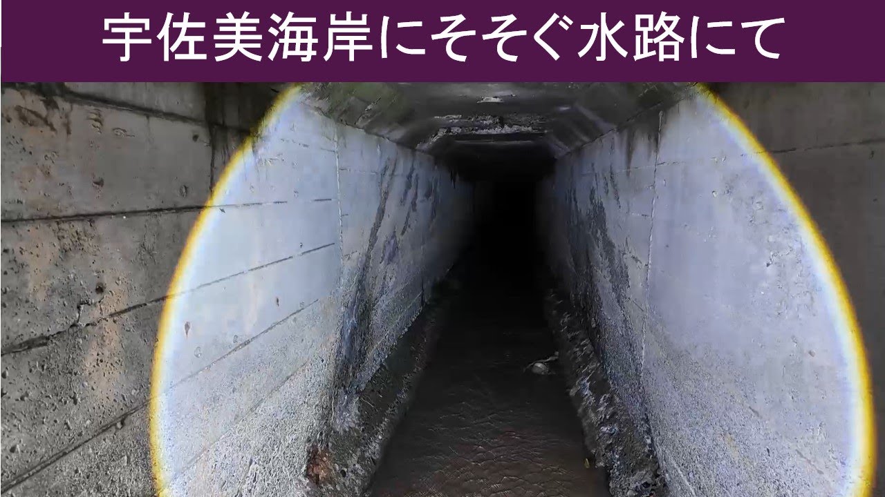 【vlog 散歩】宇佐美海岸の暗い排水路を行く