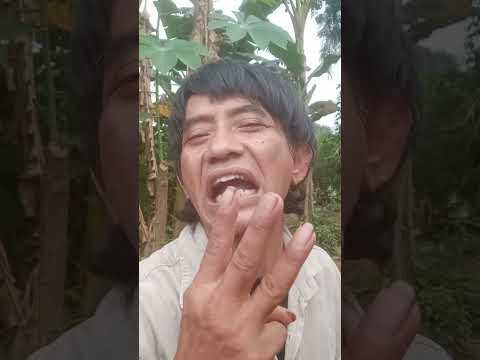 LUCU KELUARIN AJA DI DALEM Viral Komedi Meme Lucu Funny Comedy Funnyvideo