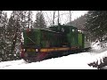 Narrow gauge railway in Vyhoda/ Вигодська вузькоколійка, тепловоз ТУ4 / УЖД Выгода