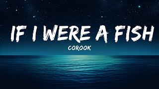 corook - if i were a fish (Lyrics) ft. olivia barton  | 25 Min