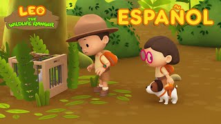 La Cacatúa Sulfúrea (Español)  Leo, El Explorador Episodio | Animación  Familia  Niños