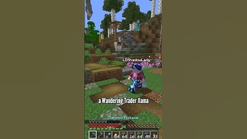 i had a conversation with a trader llama