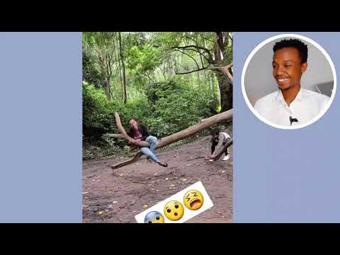 ቪዲዮ: ስልክዎ በውሃ ውስጥ ከወደቀ እንዴት ይታደጉ