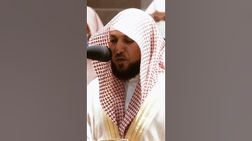 تلاوة مرئية سورة النور الآيات من ٤١ إلى ٤٢ الشيخ ماهر المعيقلي