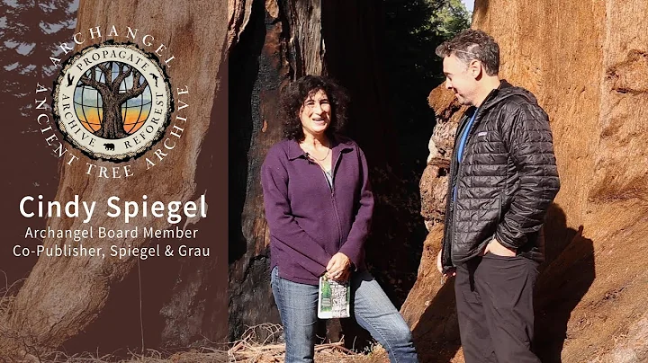 How Does Archangel Inspire Board Member Cindy Spie...