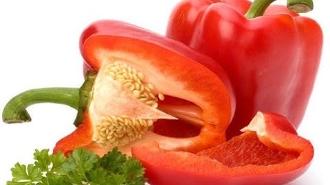 Các Loại Ớt Chuông Đà Lạt | Tuấn Nguyên Corp