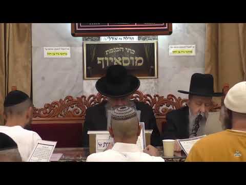 הרב בן ציון מוצפי  •  פרשת כי תבוא אלול תשפ"ב