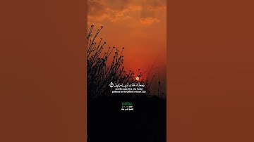 ومن أظلم ممن ذكر بآيات ربه ثم أعرض عنها_سورة السجدة _تلاوة عذبة بصوت الشيخ فارس عباد_#quran #اكسبلور