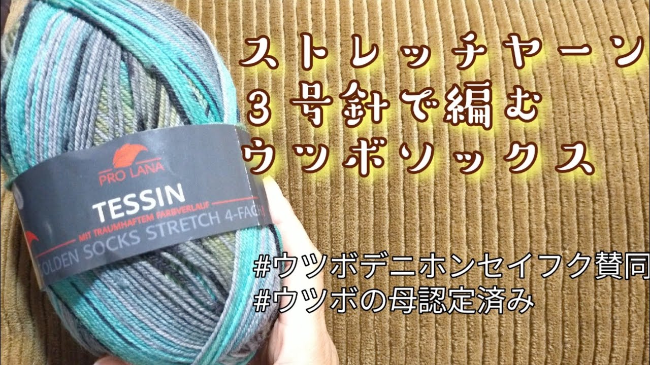 【ウツボソックス】３号針で編むストレッチウール🧶23,5ｃｍ