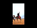 Sahara Desert Camel Ride
