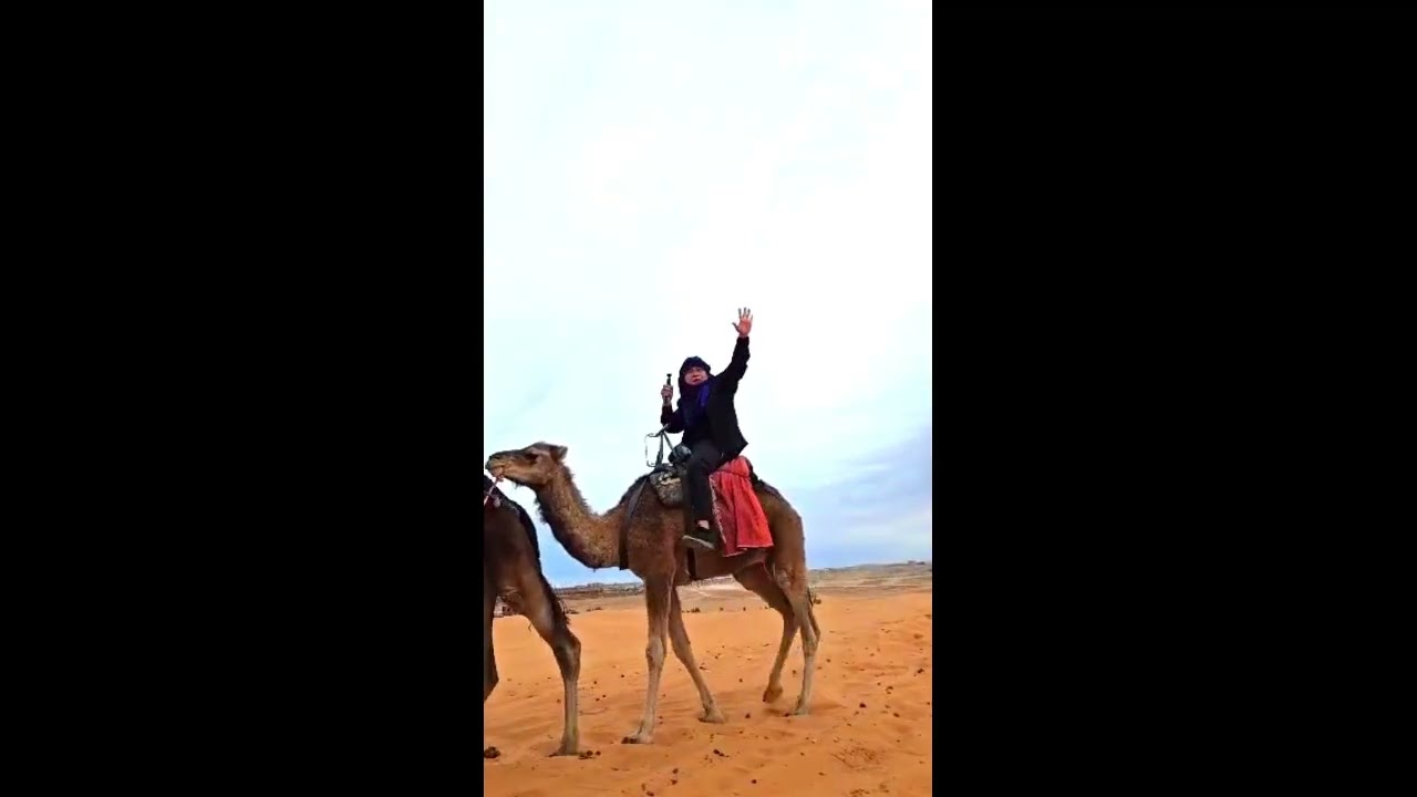 Sahara Desert Camel Ride