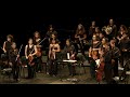 Capture de la vidéo Concert - Orchestre Zohra, Musique Symphonique D'afghanistan - Théâtre Du Quintaou Anglet - H10