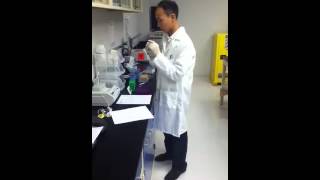 Bryan Chow:  DNA Extraction (Part 5)