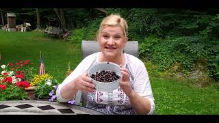 BLACKCURRANT Health Benefits