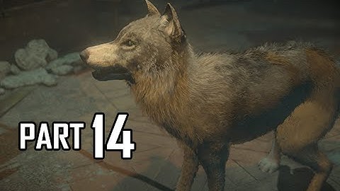 Until Dawn Walkthrough Part 14 - Worst Plan Ever (PS4 Let