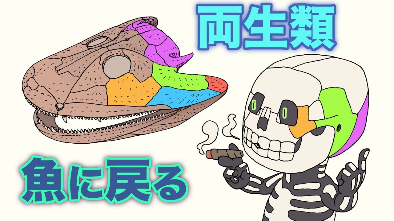 両生類、魚に戻る　地球の歴史 その１４７
