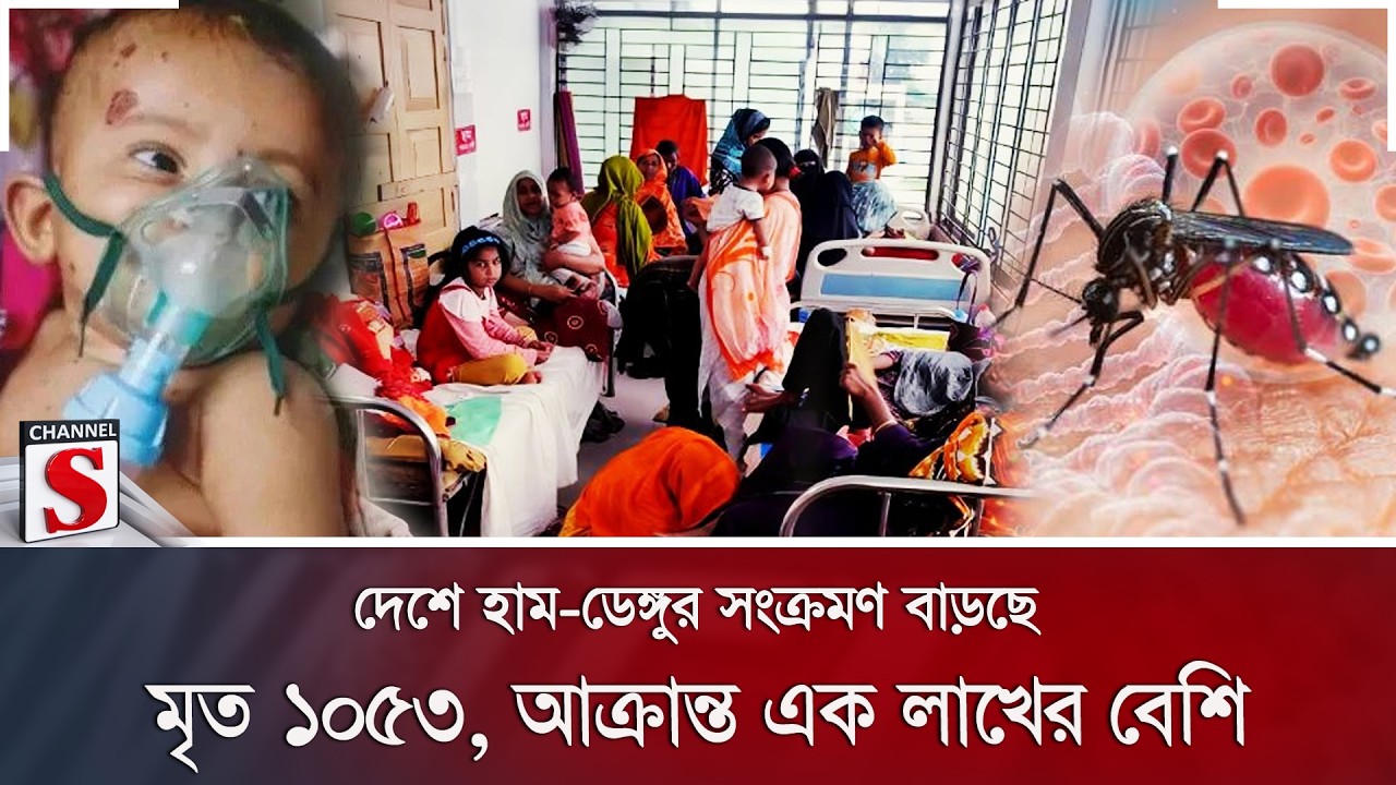 দেশে হাম-ডেঙ্গুর সংক্রমণ বাড়ছে; মৃ/ত ১০৫৩, আক্রান্ত এক লাখের বেশি | Channel S News