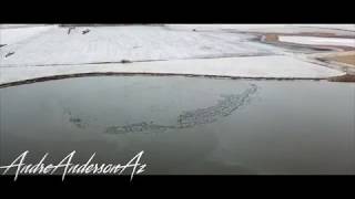 Holy Ducks | Flying with the ducks | Drone Footage | Devils Lake, ND