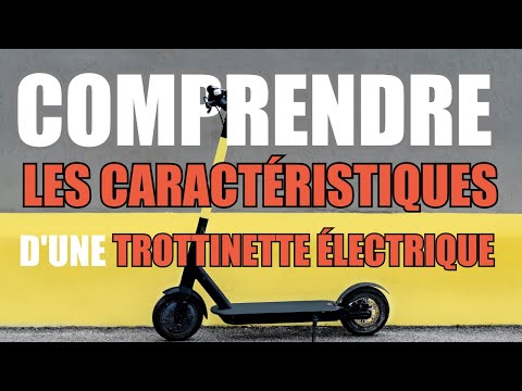 Sac de transport trottinette électrique Egret One