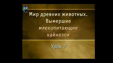 Урок 7. Древние непарнокопытные