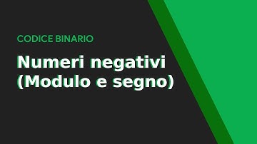 Numeri Negativi in Binario: Modulo e Segno