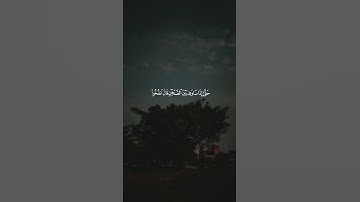 تلاوة خاشعة جميلة بصوت القارئ ماهر المعيقلي🤍🎧#قرآن #قران_كريم #اكتب_شي_تؤجر_عليه #لايك #اكسبلور