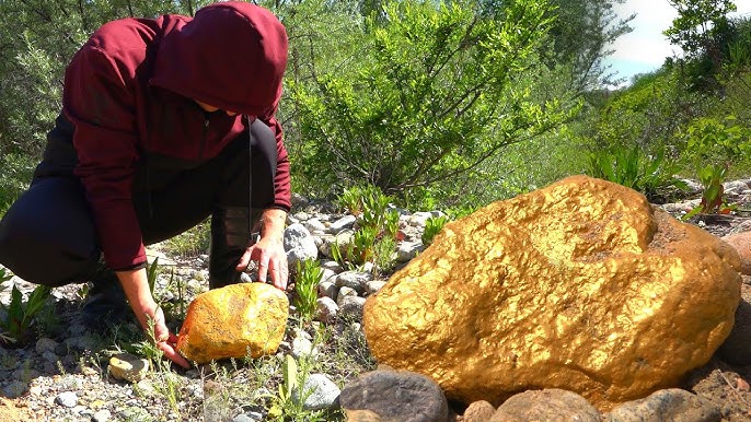 Gold Nugget Worth $160,000 Found By Amateur Hunter In, 58% OFF