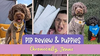 Stressed About My PIP Review… But At Least There Were Dogs | Chronic Illness Weekly Vlog