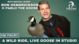 Ron from Peeps the Goose; Live Goose In Studio!