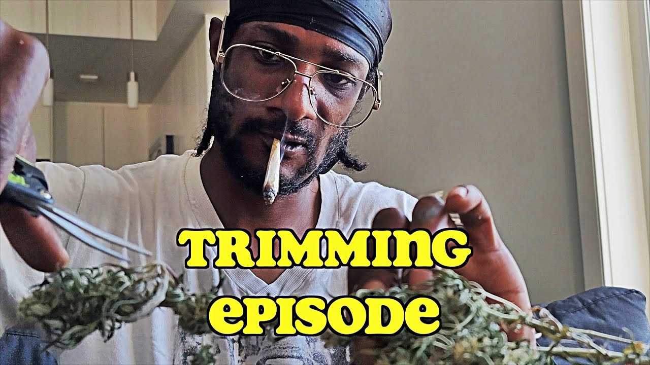 Trimming & Curing Episode