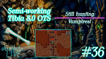 Getting Vampire Shield! #4 - Semi-working Tibia 8.0 OTS #36