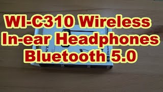 Sony WI-C310 Wireless In-ear Headphones索尼入耳式無綫 ... 