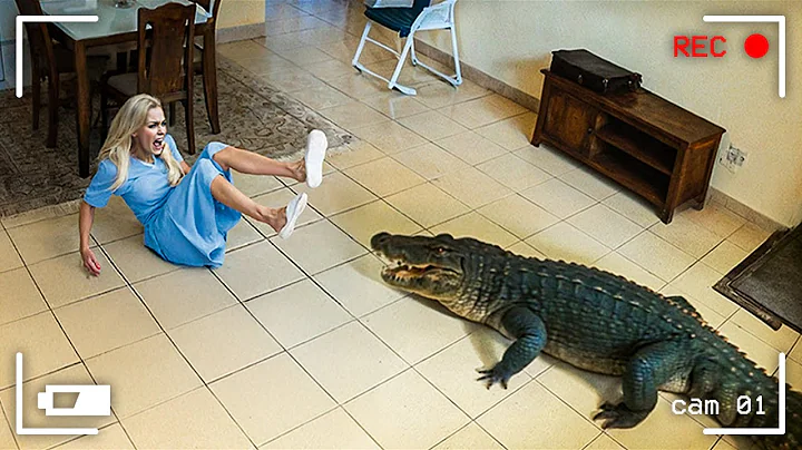 Wild Animals Invading People’s Homes thumbnail