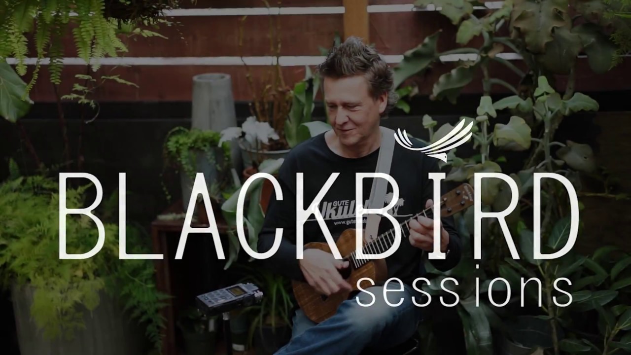 Blackbird Sessions featuring Andreas David- The Tall Fiddler