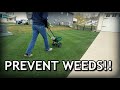 How To Apply GRANULAR Pre Emergent To Prevent Crabgrass // Spring Lawn Care Step 2