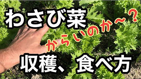 とまたろう Youtube