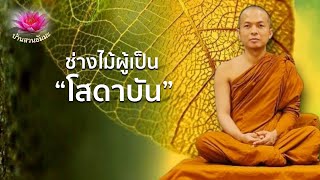 29 เม.ย. 67 | ช่างไม้ผู้เป็นโสดาบัน | ภันเตโตโต้ : บ้านสวนธัมมะ