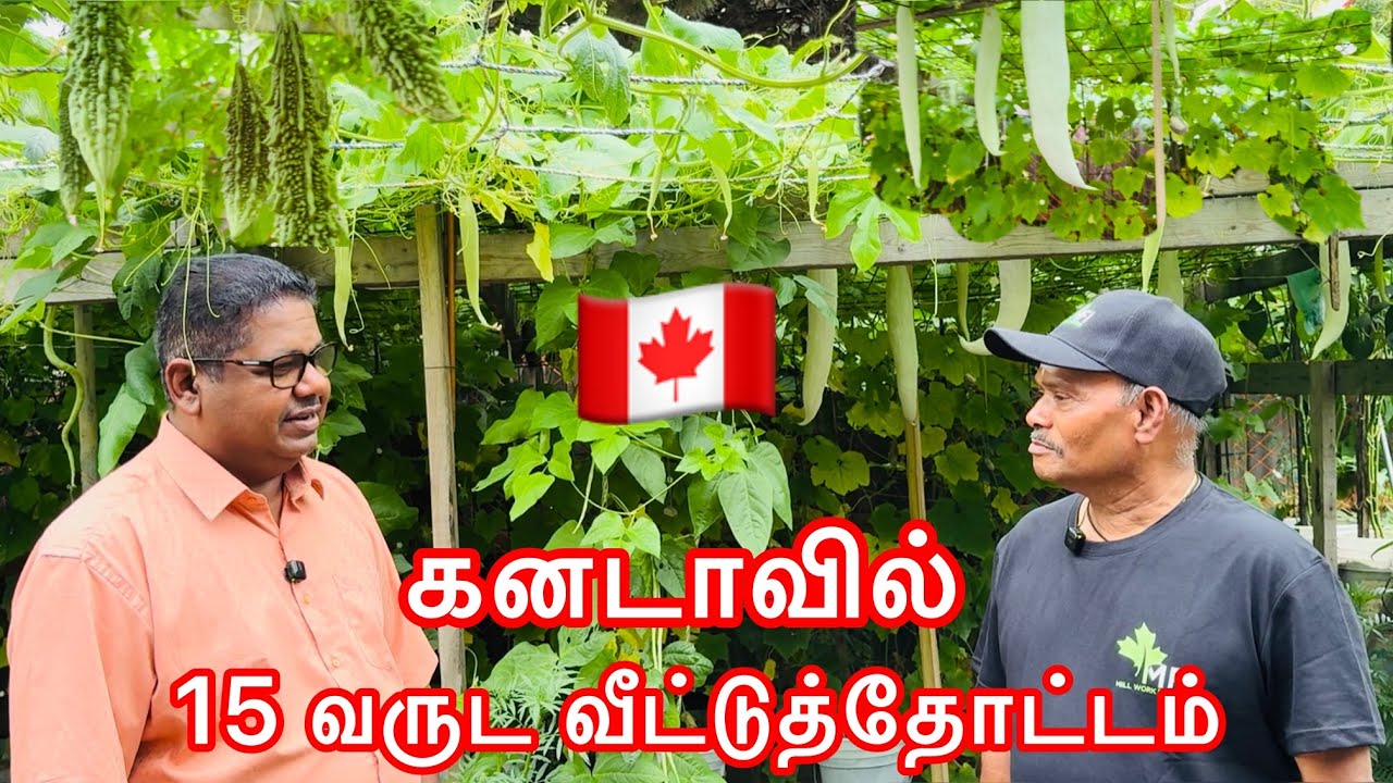 கனடாவில் 15 வருடம் வீட்டுத்தோட்டம் செய்யும் ஈழத்தமிழர்