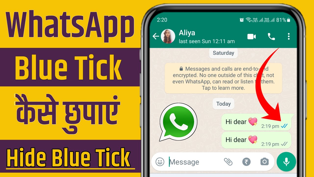 How To Hide Whatsapp Blue Ticks Whatsapp Blue Tick Kaise Disable Kare