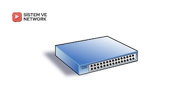 Switch ve Hub Nedir? Aralarındaki Fark Nelerdir? | @sistemveag #switch #hub #network