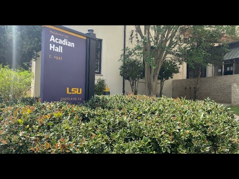 LSU freshman removed from dorm after harassing neighbors