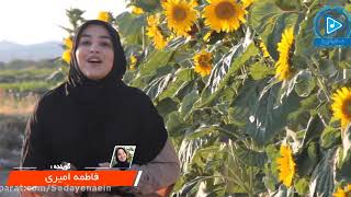 مرداد ماهی تولدت مبارک