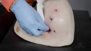 How To Use ChitoGauze® XR PRO