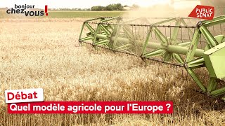 Débat : quel modèle agricole pour l'Europe by Public Sénat 399 views 8 hours ago 37 minutes