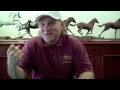 Handicapping Tutorials- Paul Lambrakis - Jockey and Lifetime Stats