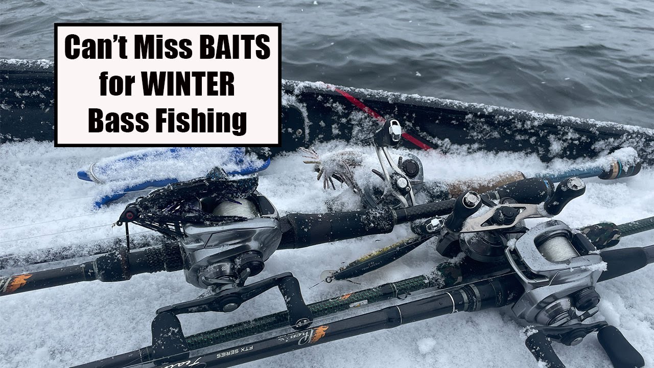 Can’t Miss BAITS for WINTER Bass Fishing Bass Manager The Best Bass