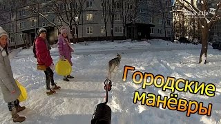 Городские манёвры