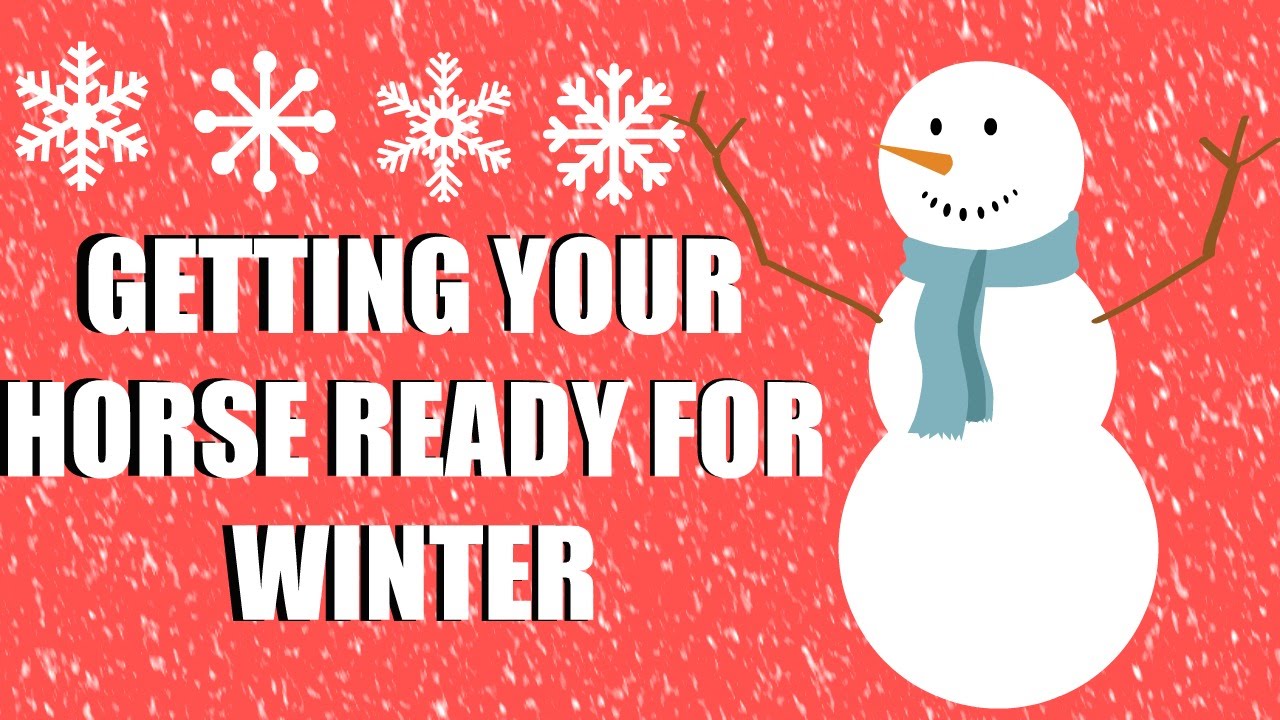 getting-your-horse-ready-for-winter-checklist-youtube