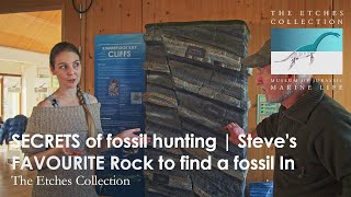 SECRETS of fossil hunting | Steve's FAVOURITE Rock to find a fossil In